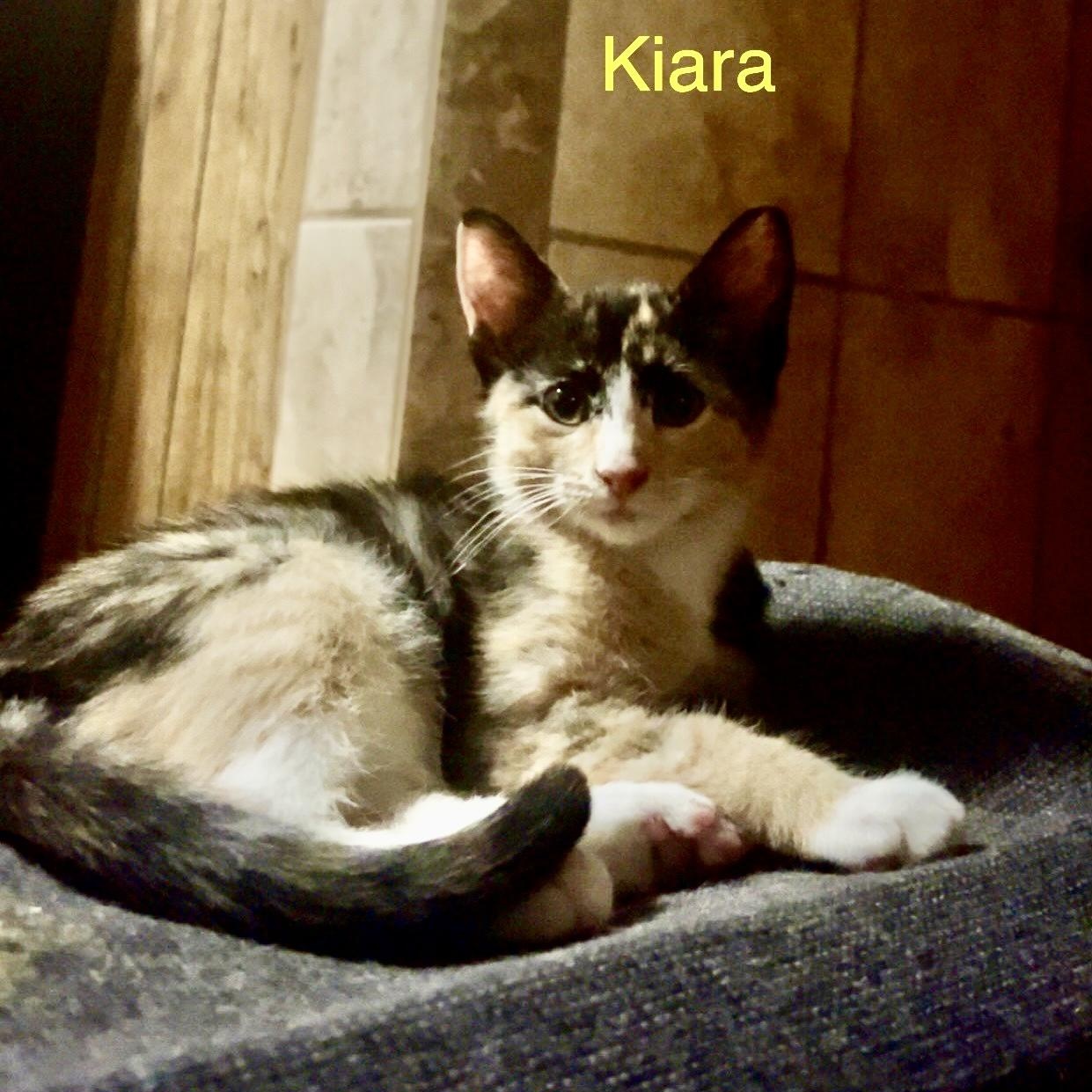 Kiara 1