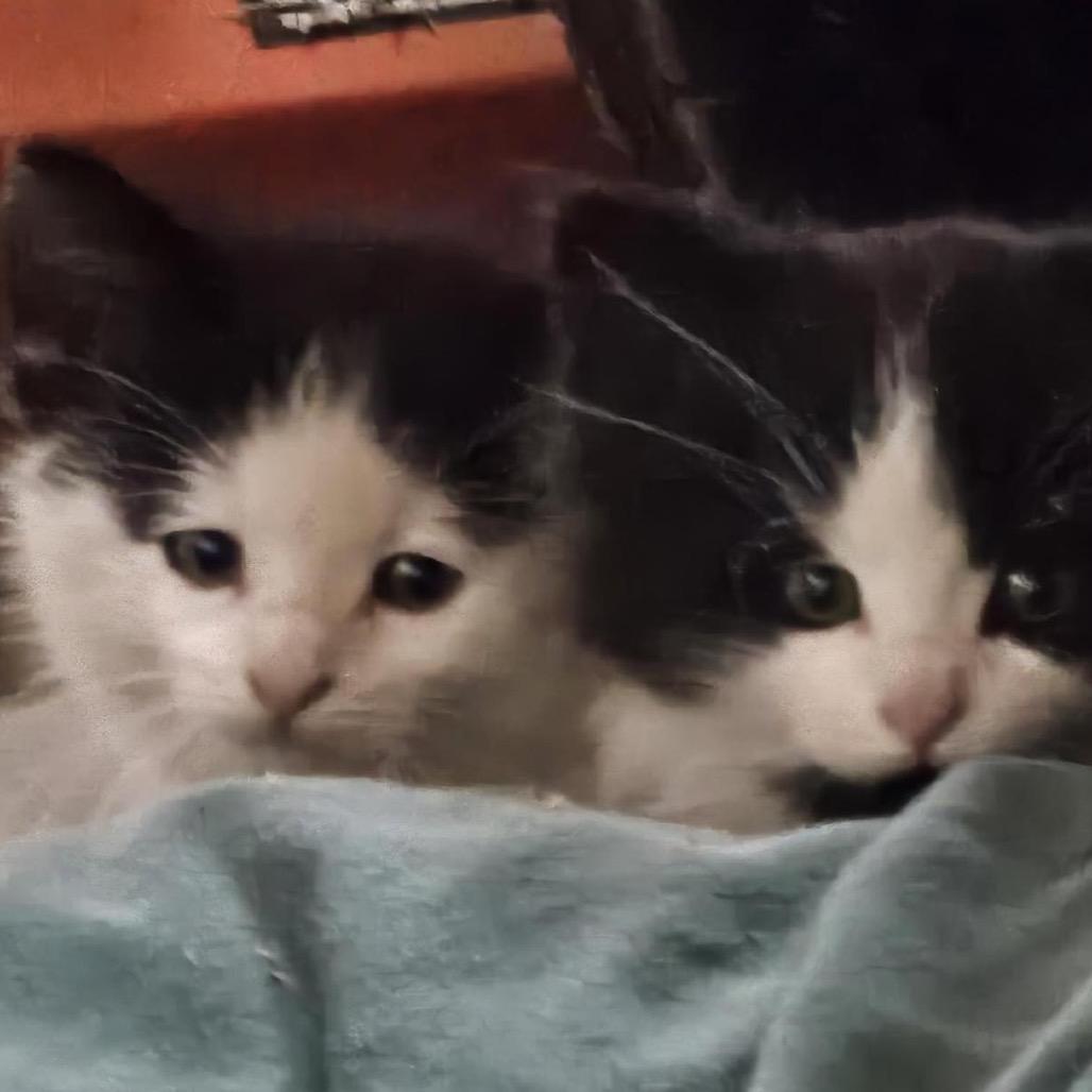 Diamond — thumbnail 2