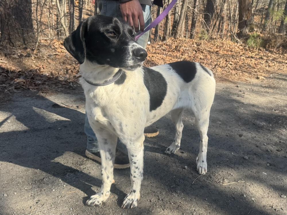 Payton "pretty" thumbnail 2