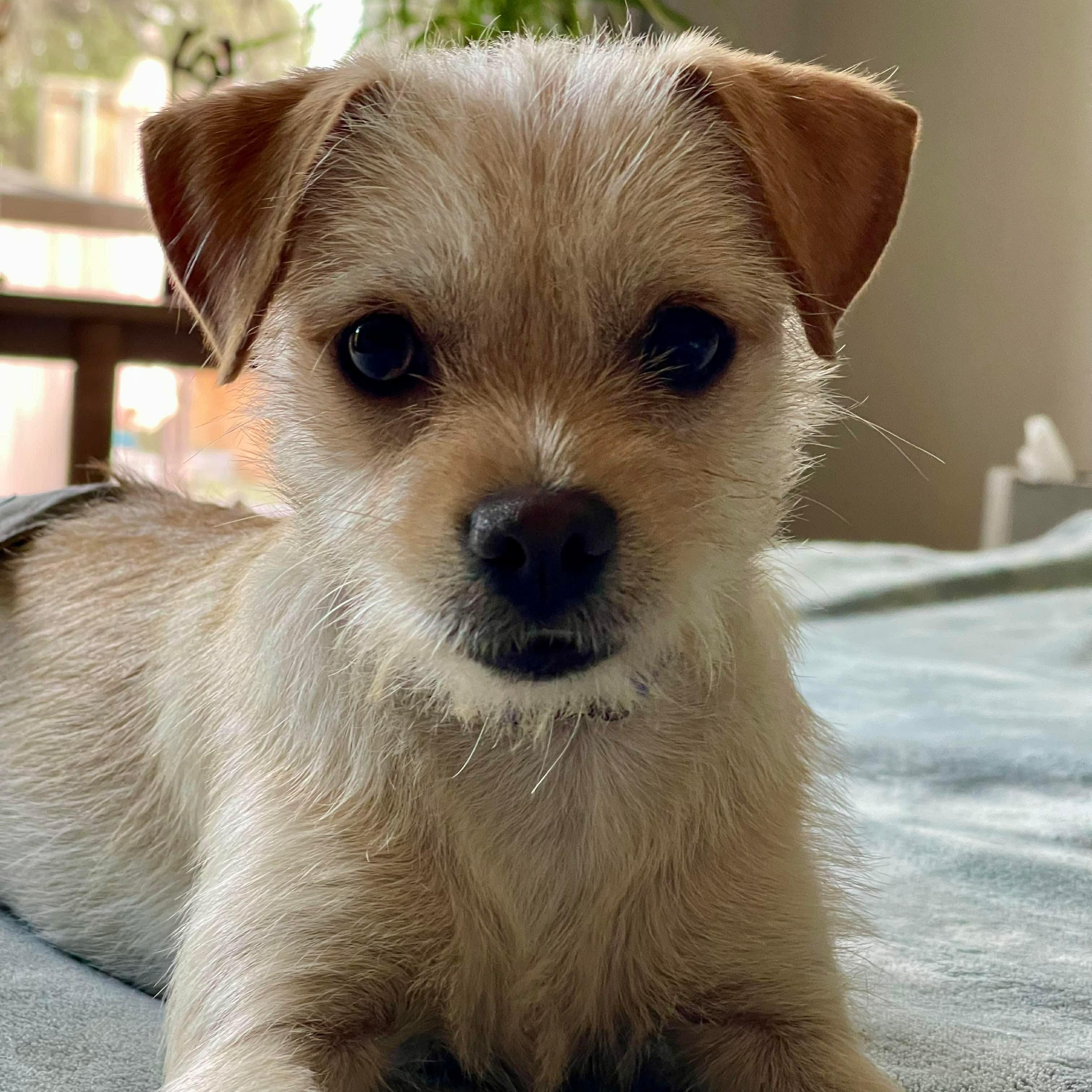 Thomas — thumbnail 5