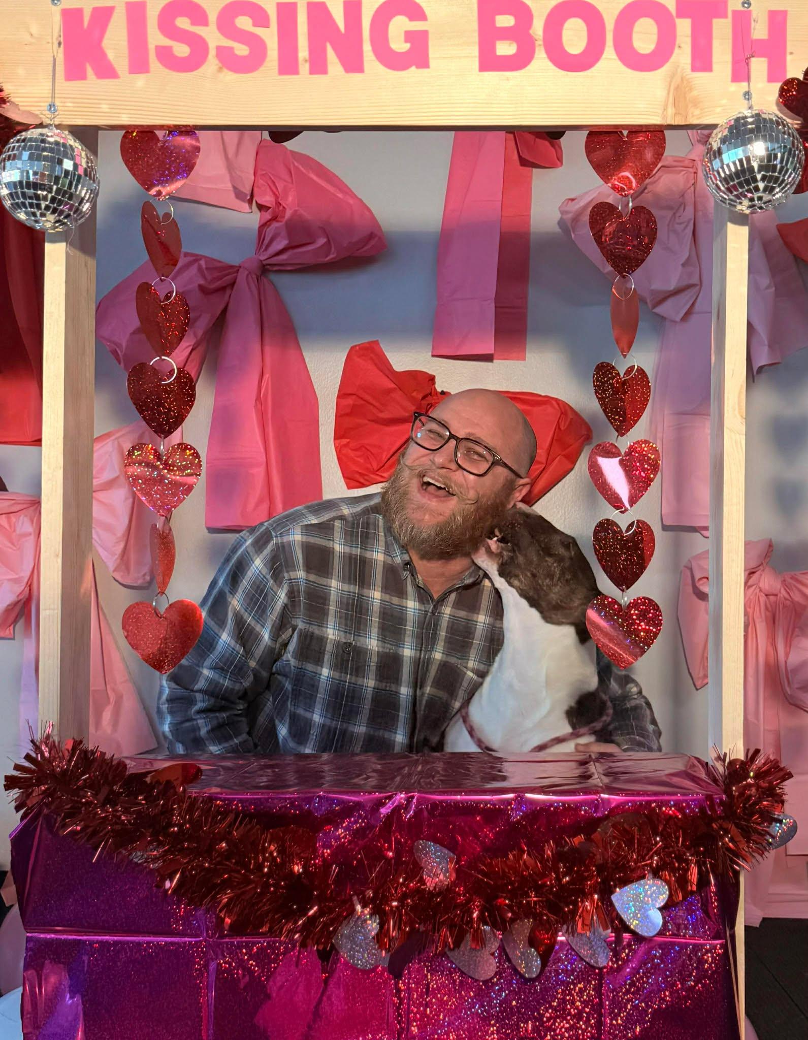 24-076 Shiloh Cocopuff, Adoptable, Adult Female Bull Terrier.