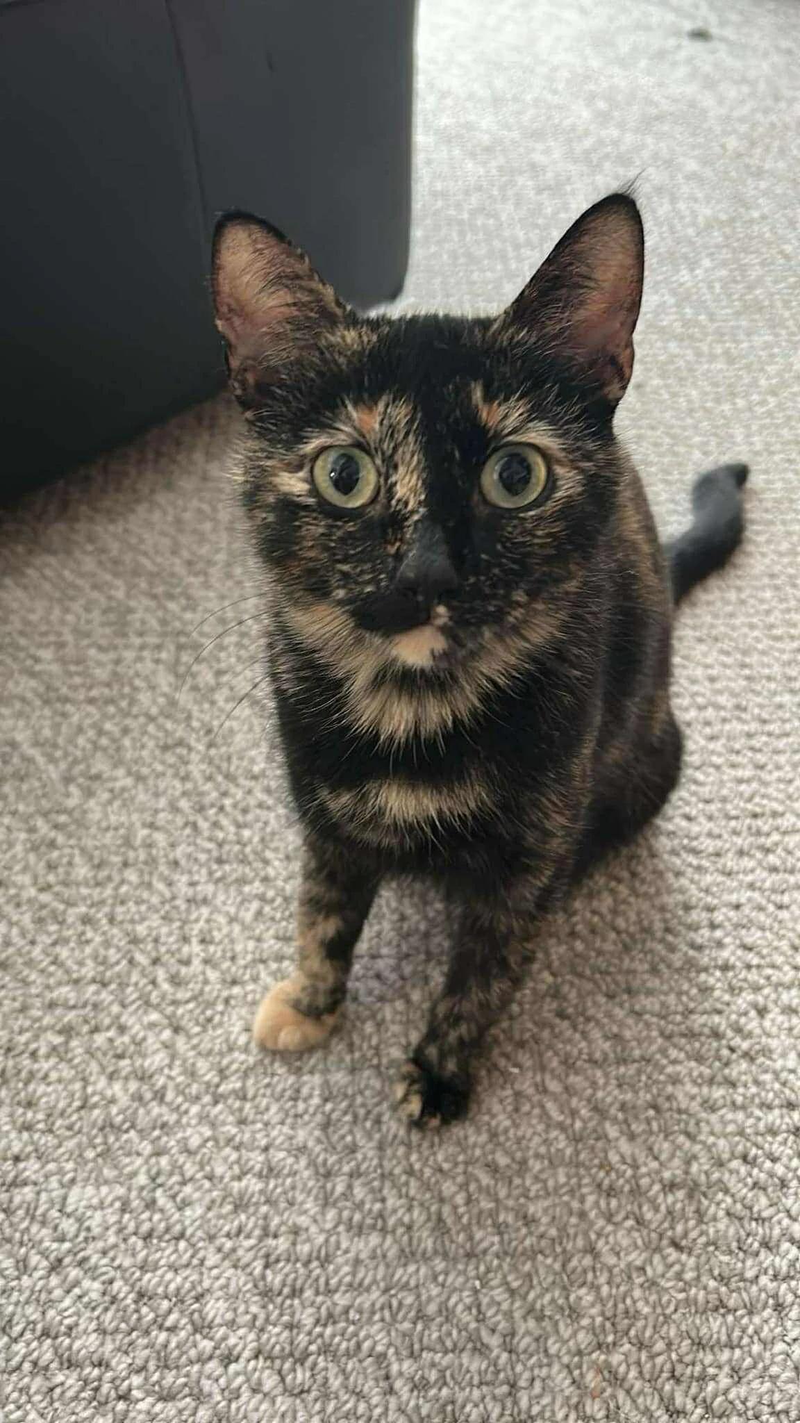 Leni