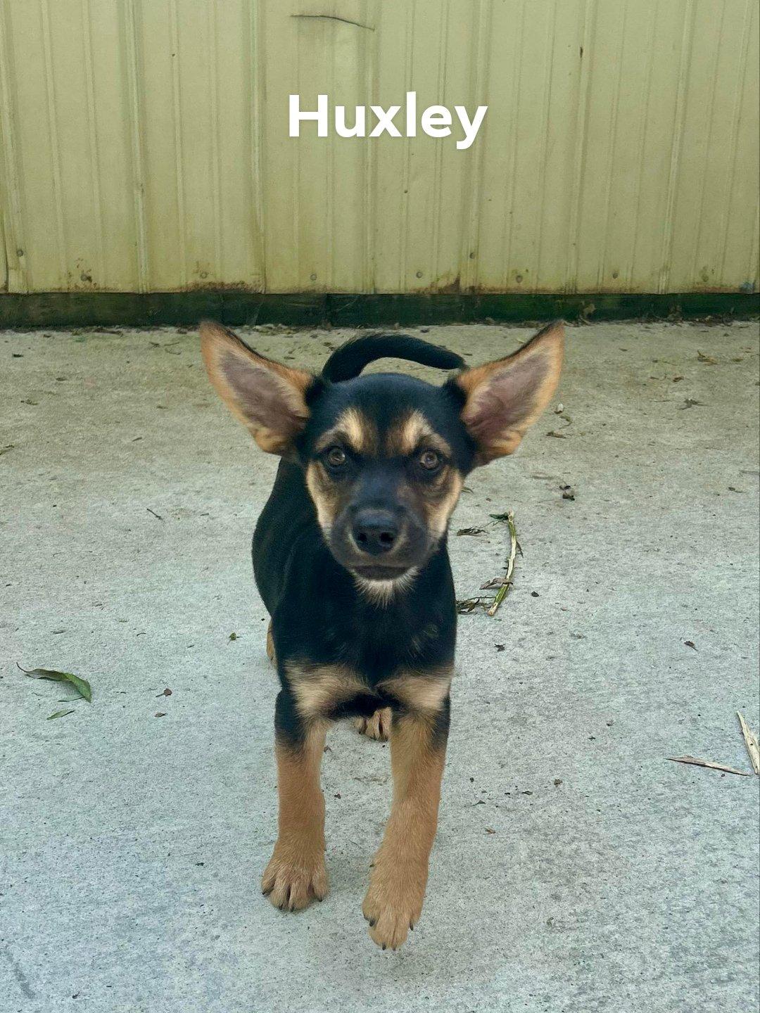 Huxley