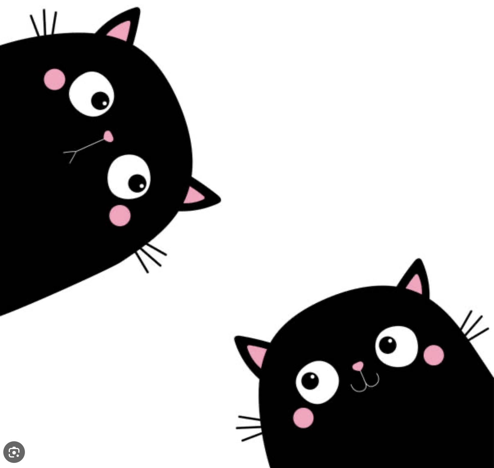 Jo, an adoptable Domestic Short Hair in Sault Sainte Marie, MI, 49783 | Photo Image 1