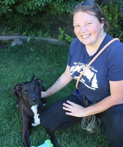 Archibald, Adoptable, Adult Male Mixed Breed & Mixed Breed.