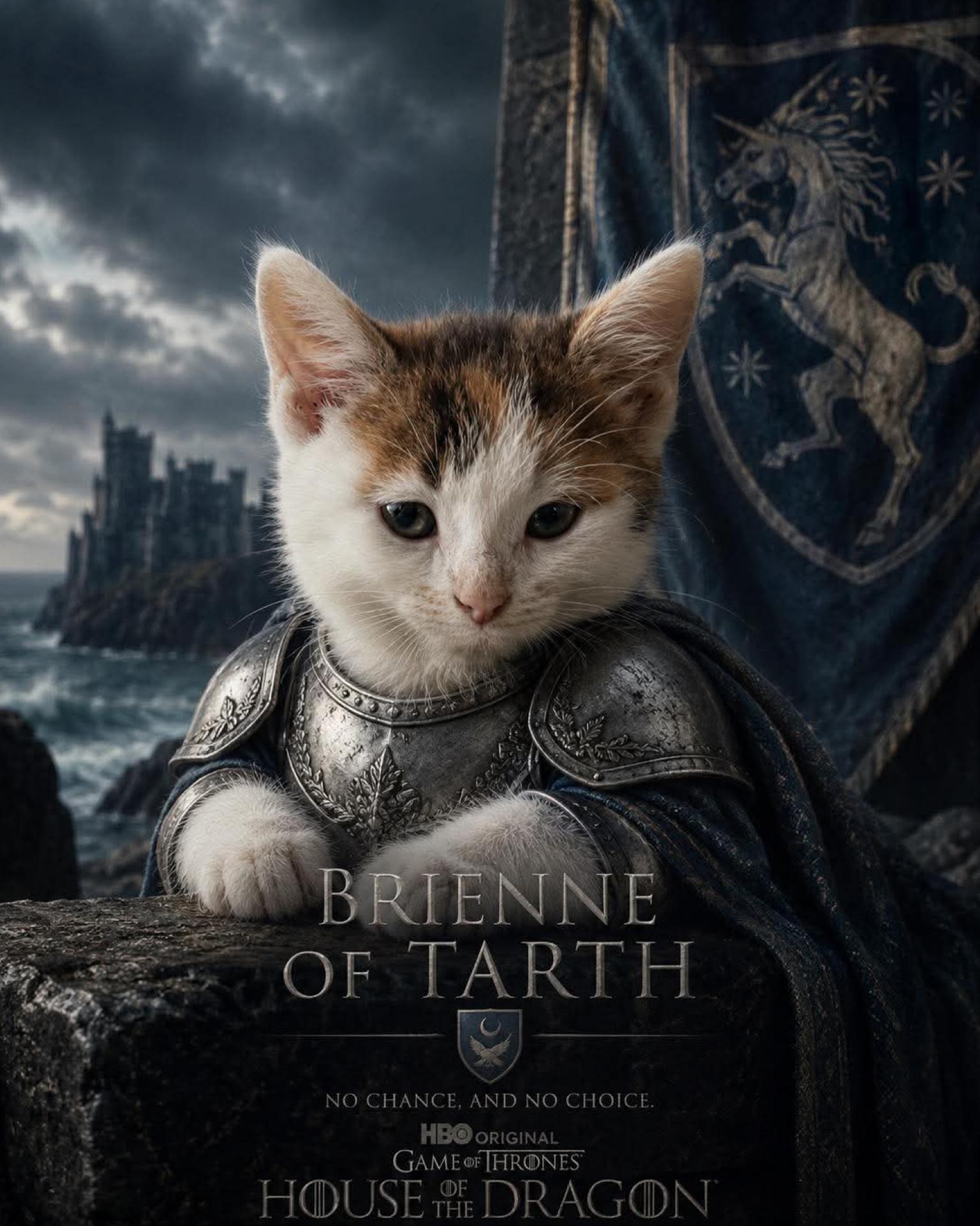 Enlarge Brienne of Tarth, a ADOPTABLE Domestic Short Hair in Berkeley Springs, WV image 5/6