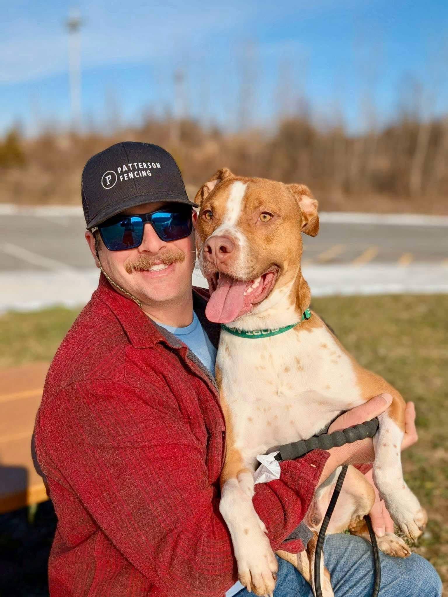 Eddie, a Adoptable mixed breed in Lewis Center, OH image 3/6