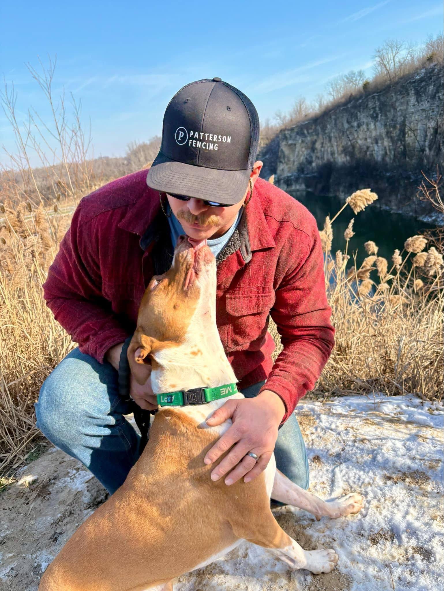 Enlarge Eddie, a Adoptable mixed breed in Lewis Center, OH image 5/6