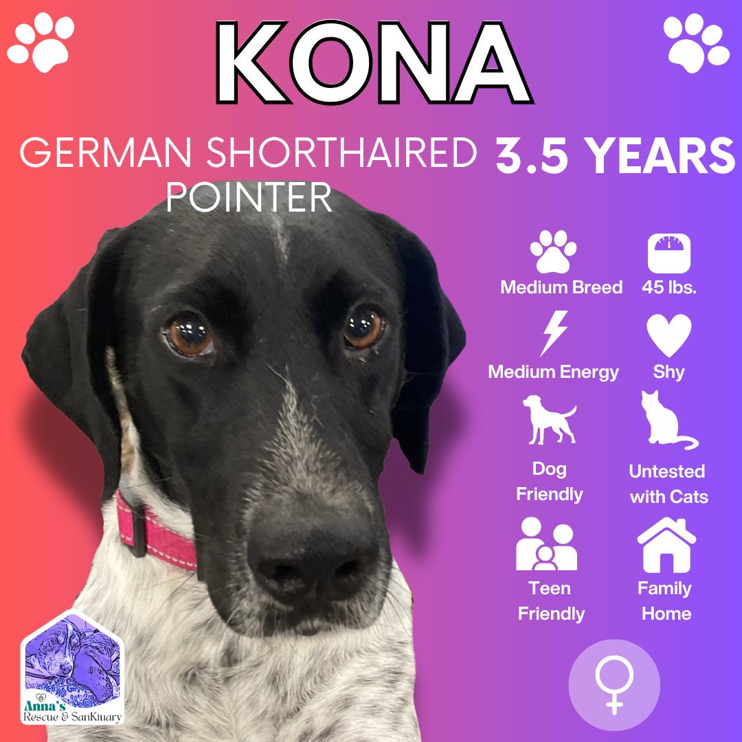 Kona