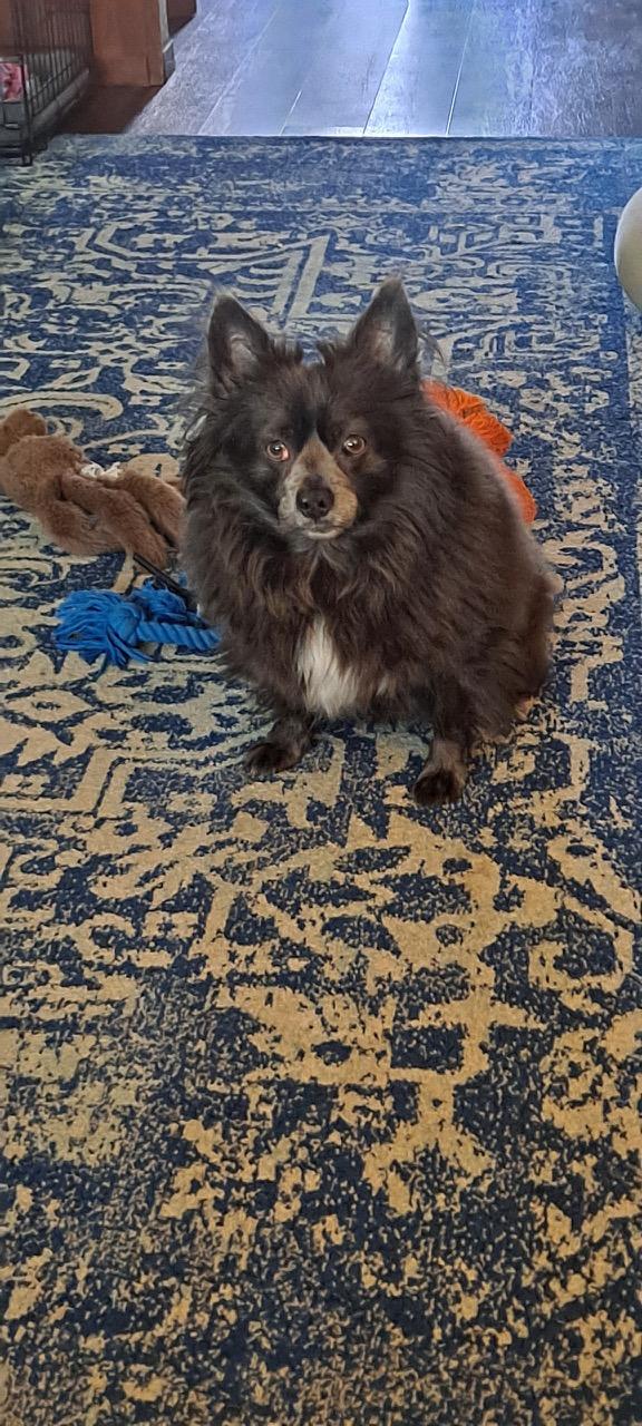 Dakota, Senior Male unknown