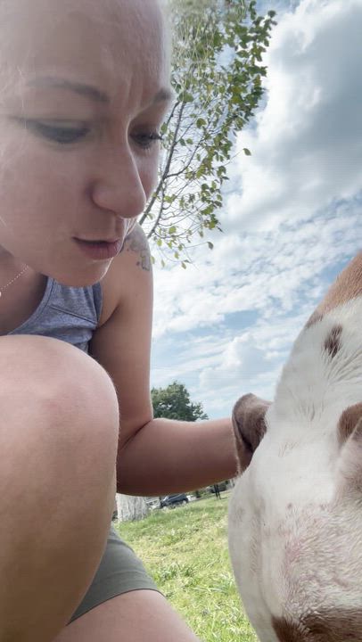 Enlarge Roscoe, a Adoptable American Staffordshire Terrier in Evans City, PA video 6/6