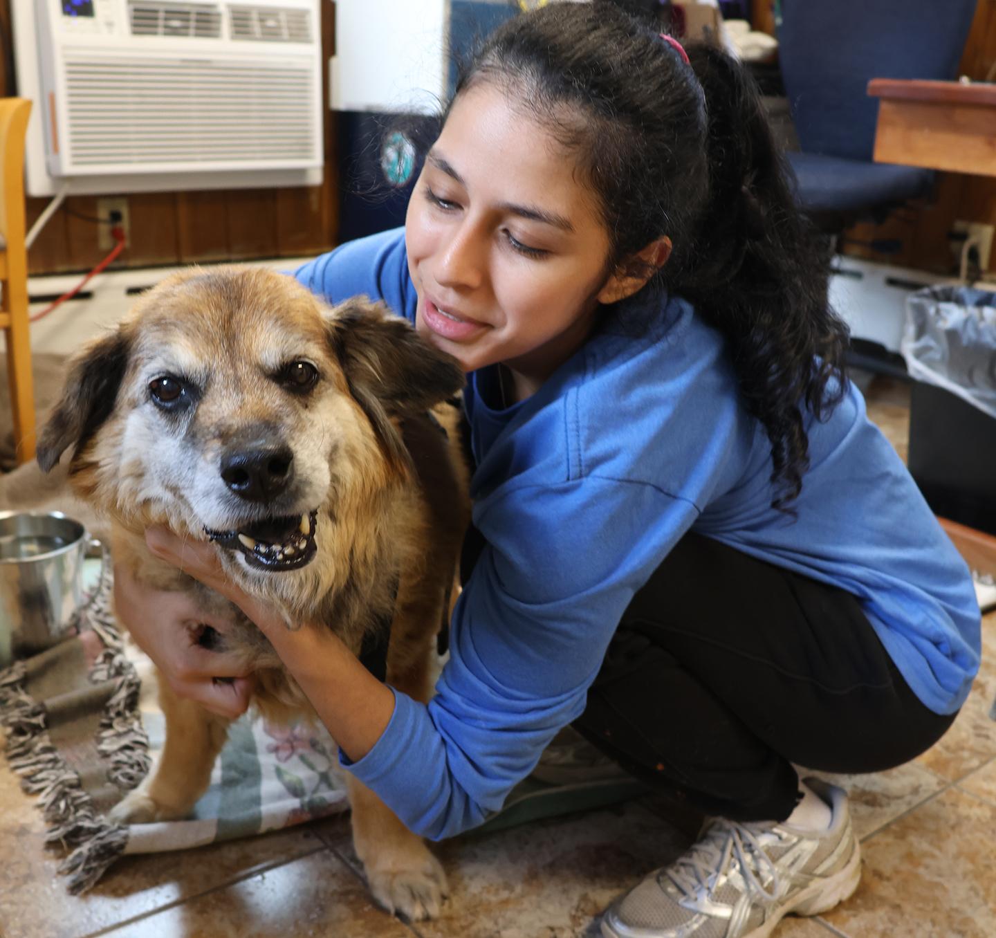 Enlarge Fluffy, a Adoptable mixed breed in Harrison, NY image 3/4