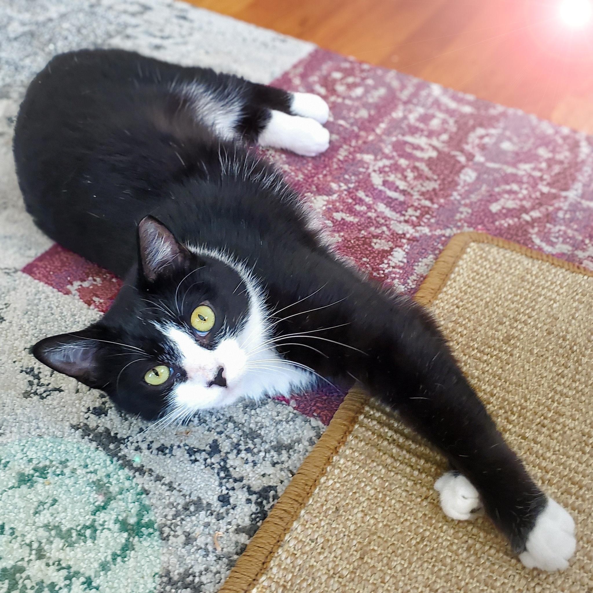 Libby