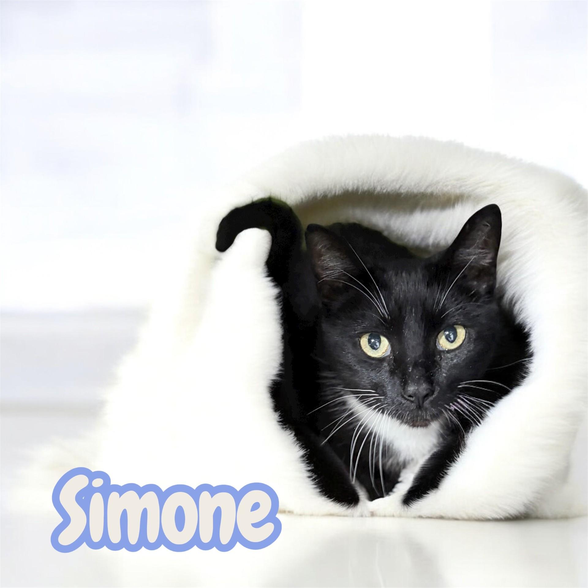 Simone