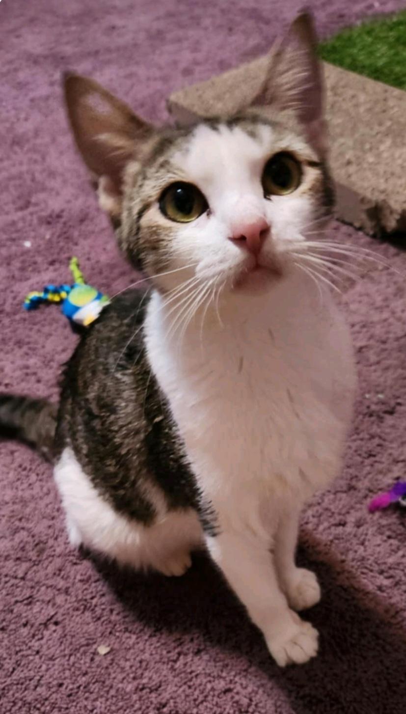 Hera