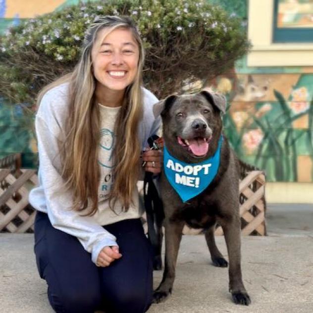 Enlarge Mihla, a Adoptable mixed breed in Pacific Grove, CA image 4/6