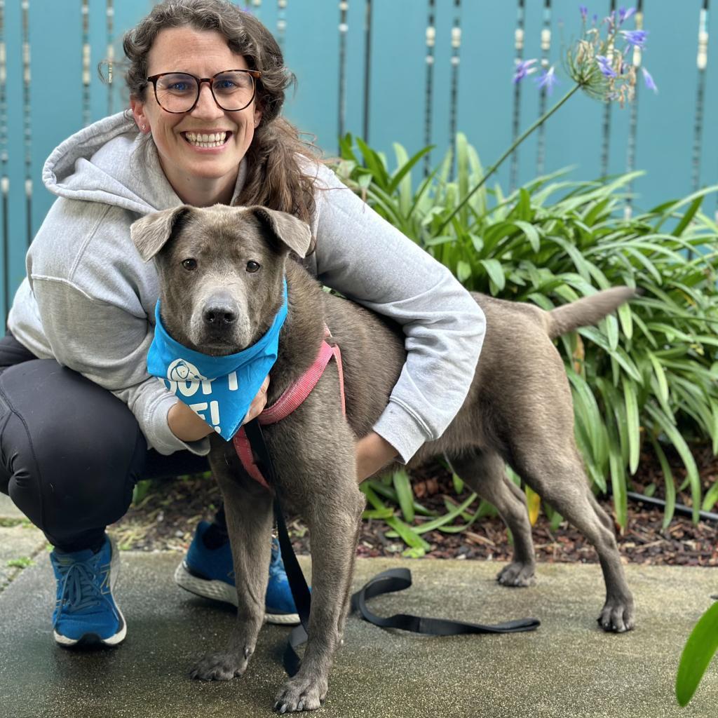 Mihla, a Adoptable mixed breed in Pacific Grove, CA image 5/6