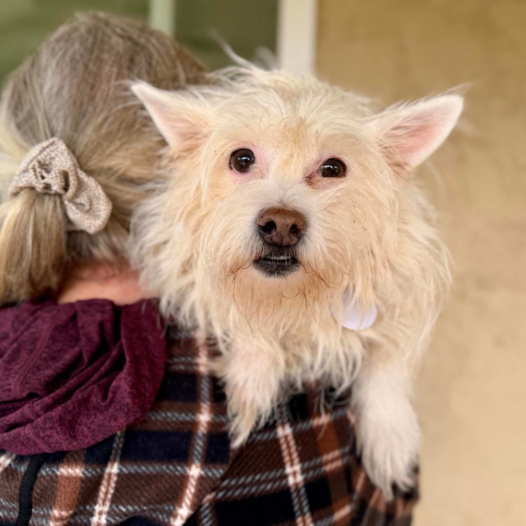 Delphine thumbnail 3