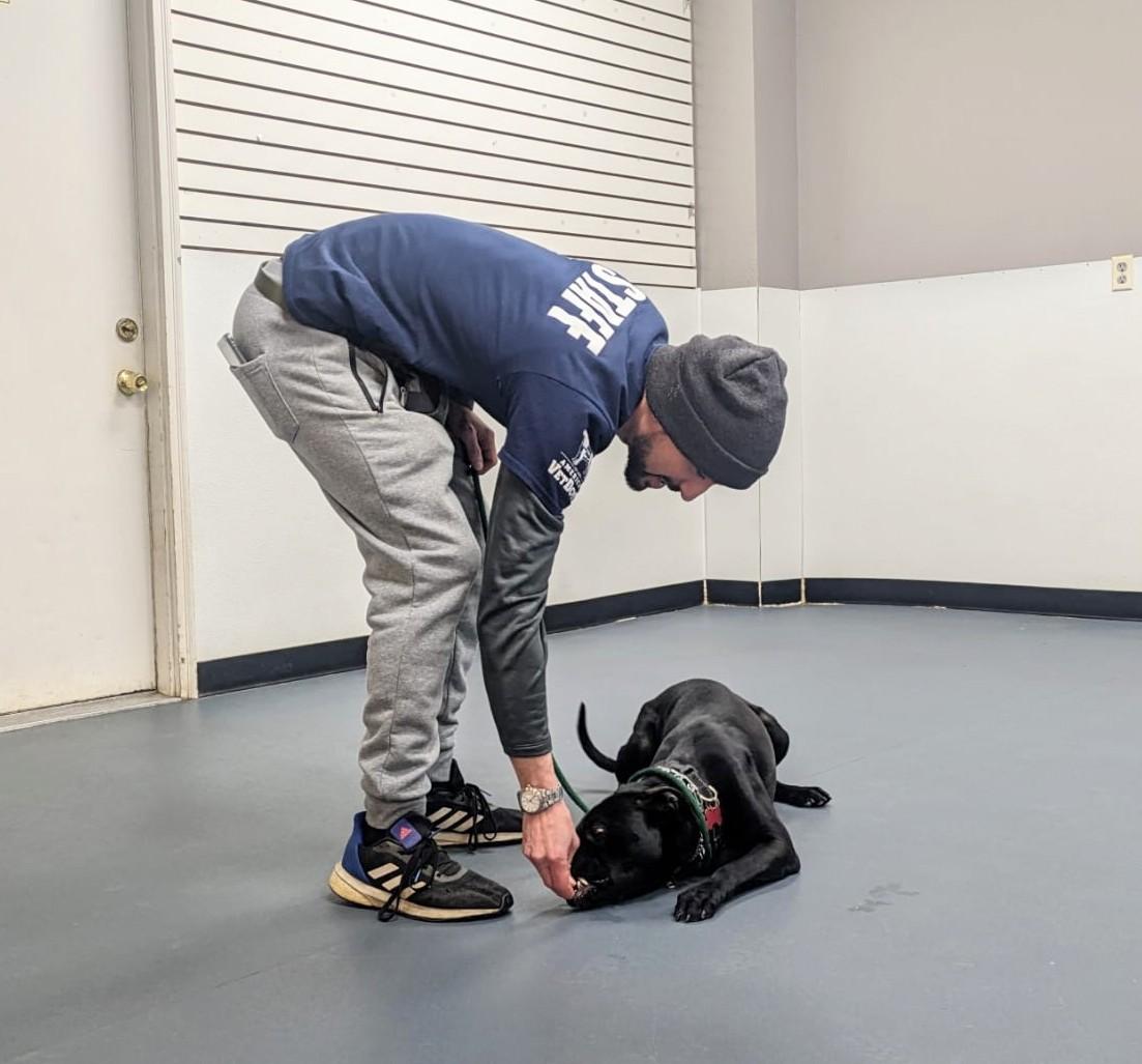 Mateo, a Adoptable mixed breed in Binghamton, NY image 2/4