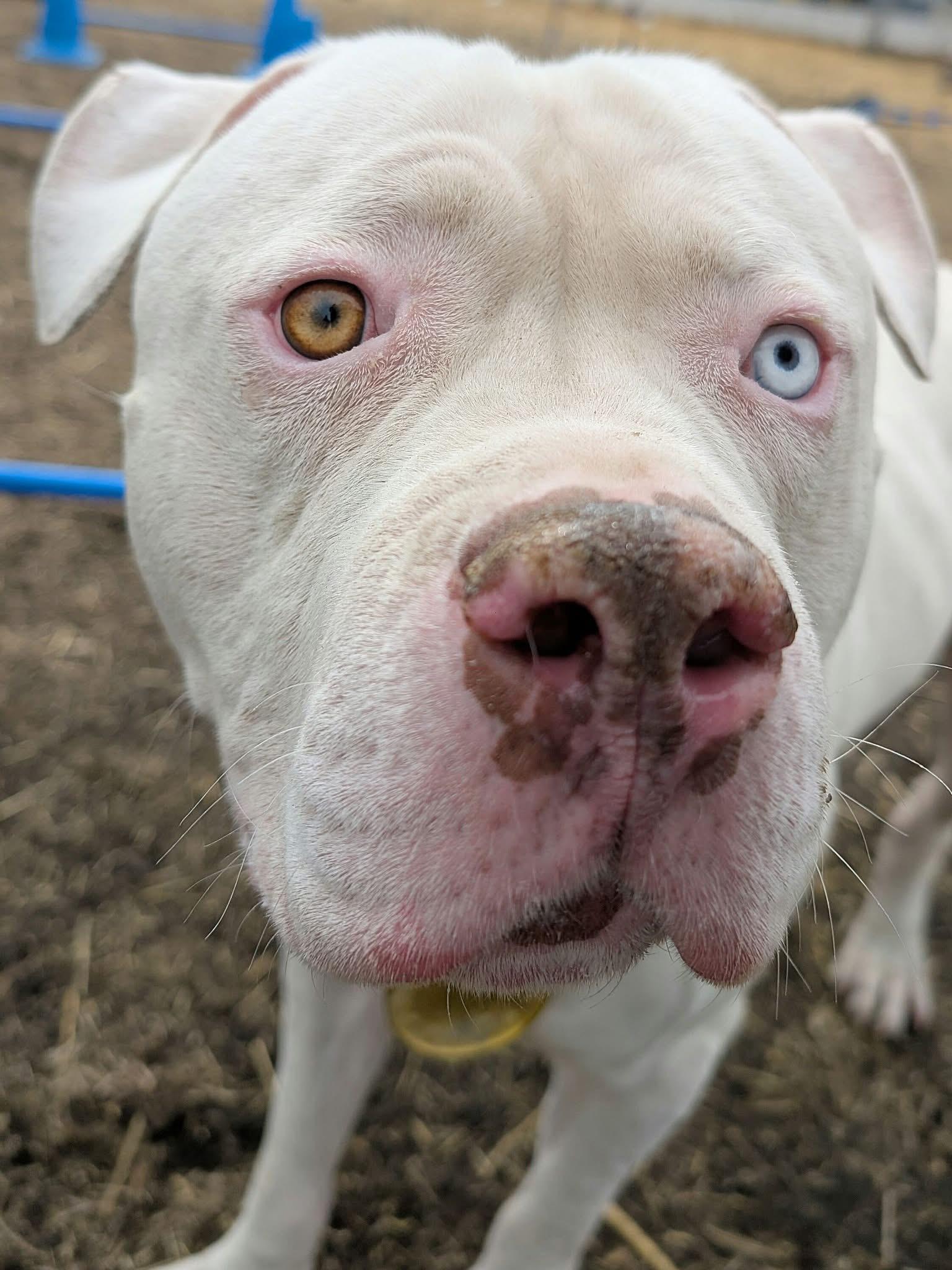 Malcolm — thumbnail 2