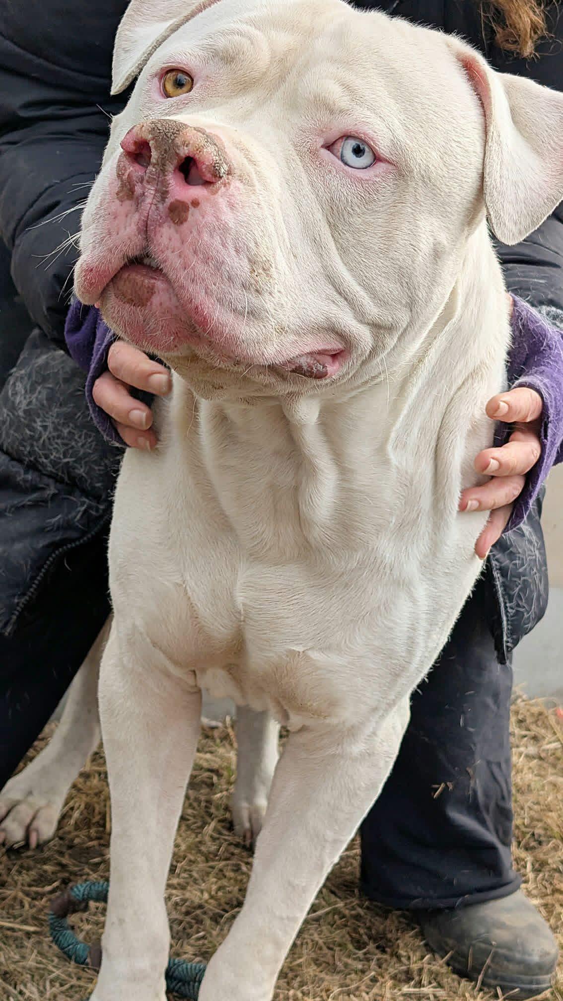 Malcolm — thumbnail 4