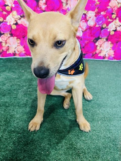 Sasha — thumbnail 4