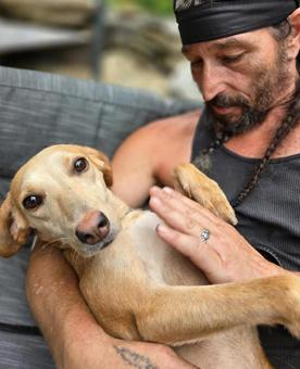 Enlarge Beulah, a ADOPTABLE mixed breed in Canterbury, CT image 5/6