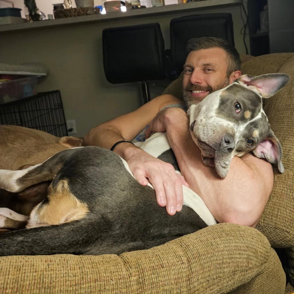 Enlarge Snowbunny, a Adoptable Pit Bull Terrier in Valparaiso, IN image 4/6
