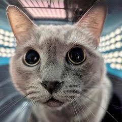 Nadia — thumbnail 2