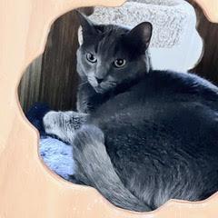 Nadia — thumbnail 3