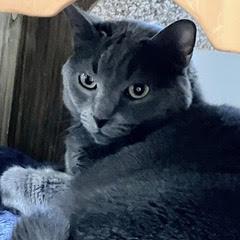 Nadia — thumbnail 4