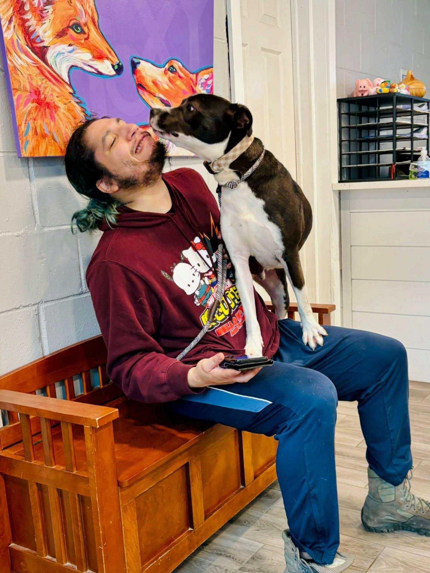 Enlarge Timmy, a Adoptable Mixed Breed in Rock Hill, NY image 3/4