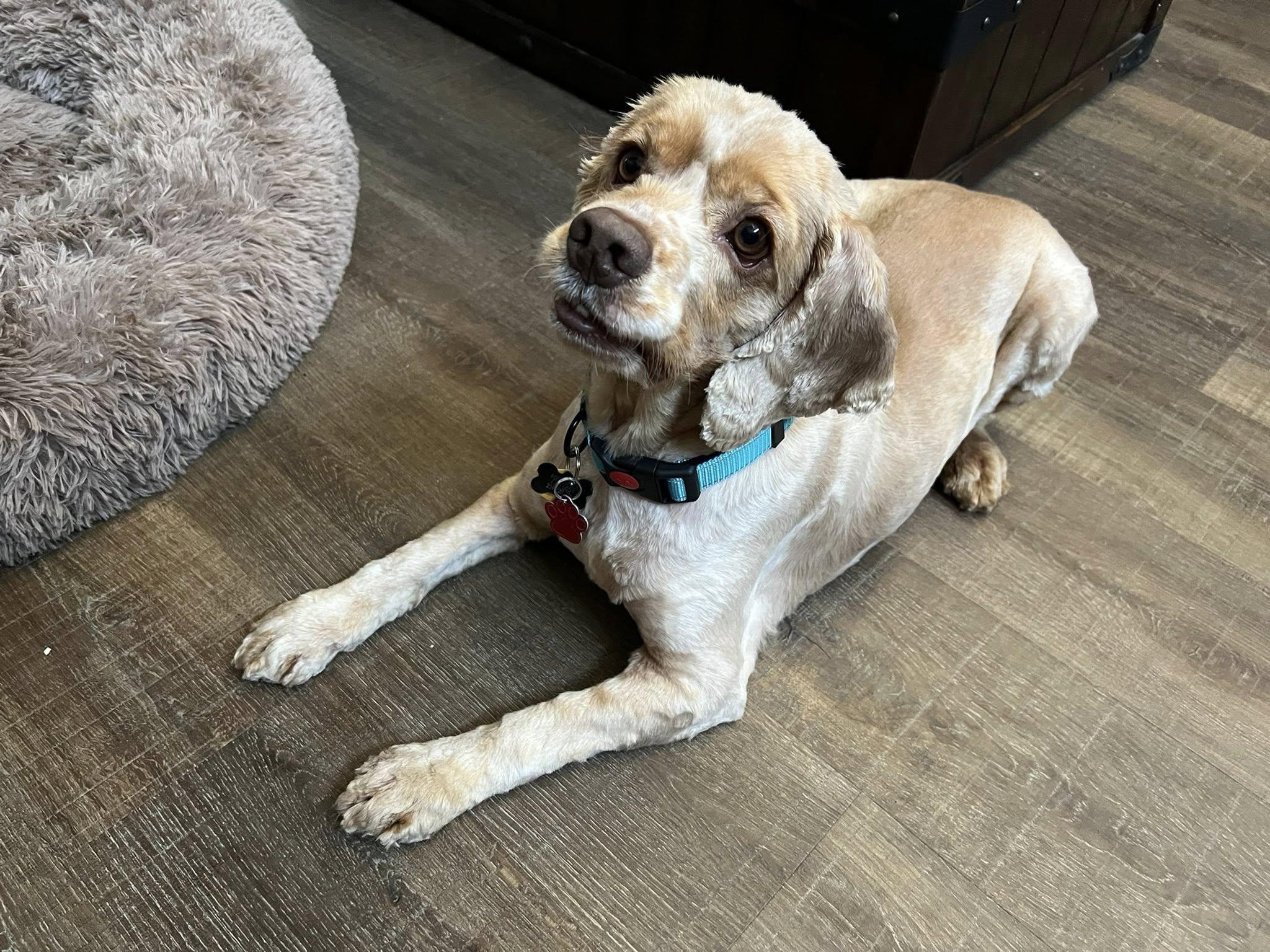 Aton — thumbnail 2