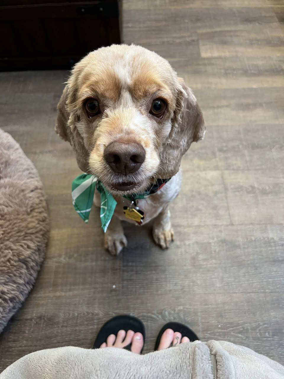 Aton — thumbnail 3