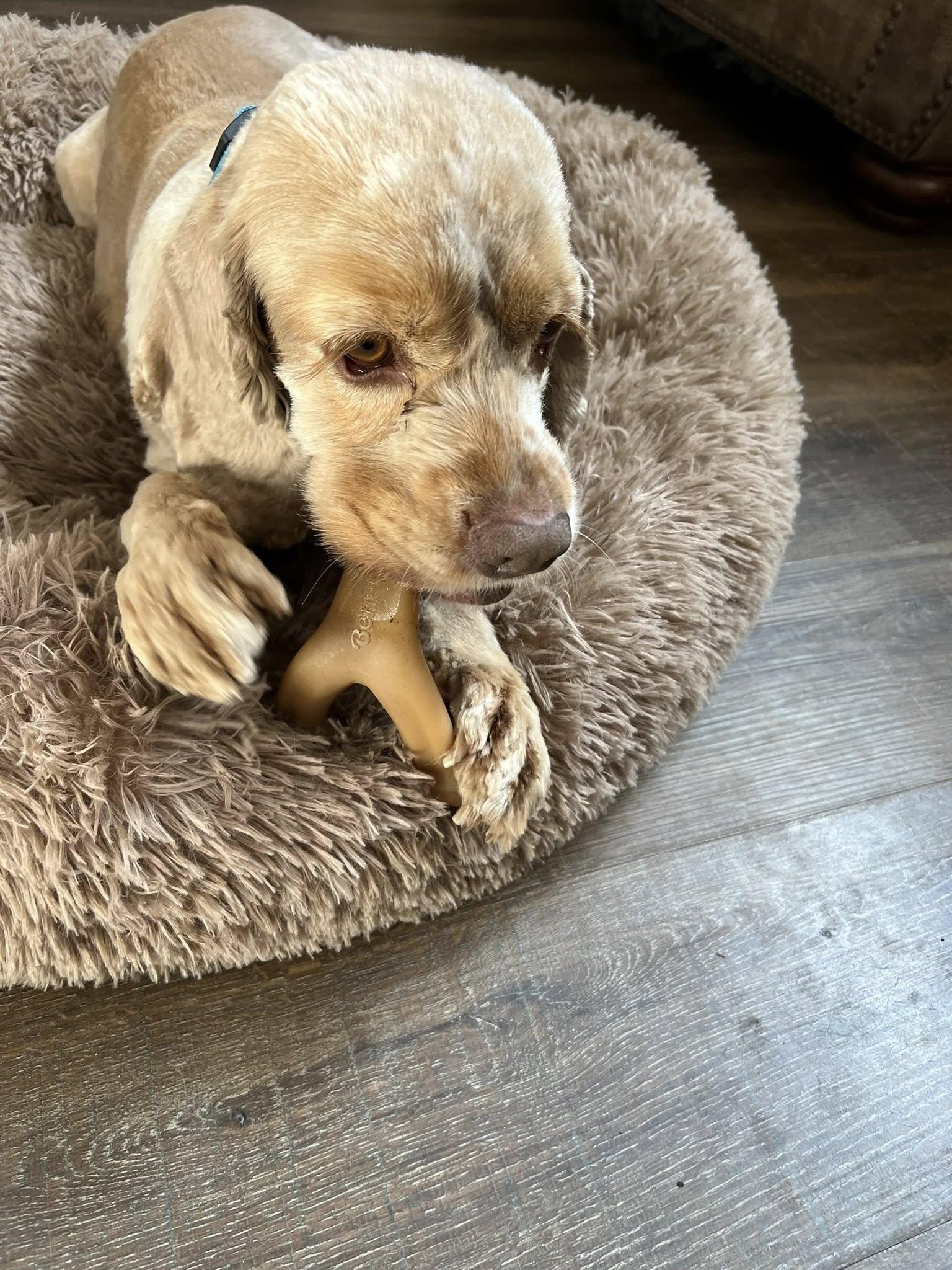 Aton — thumbnail 4