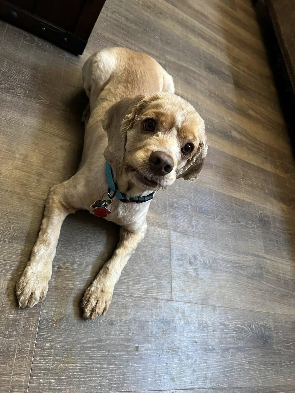 Aton — thumbnail 6