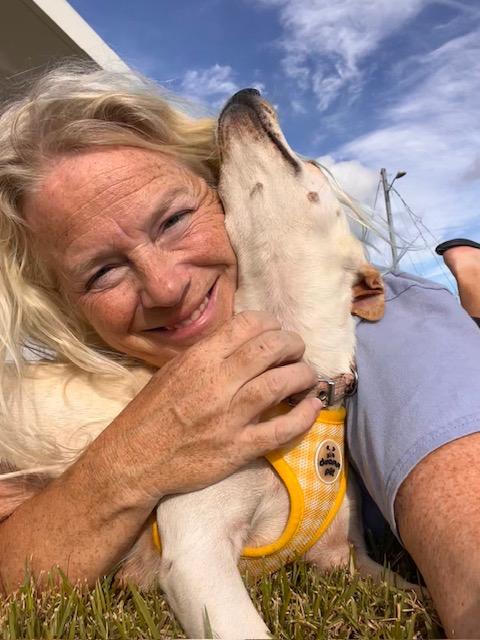 Enlarge Blanquita (aka Blanca), a ADOPTABLE mixed breed in Milwaukie, OR image 4/6