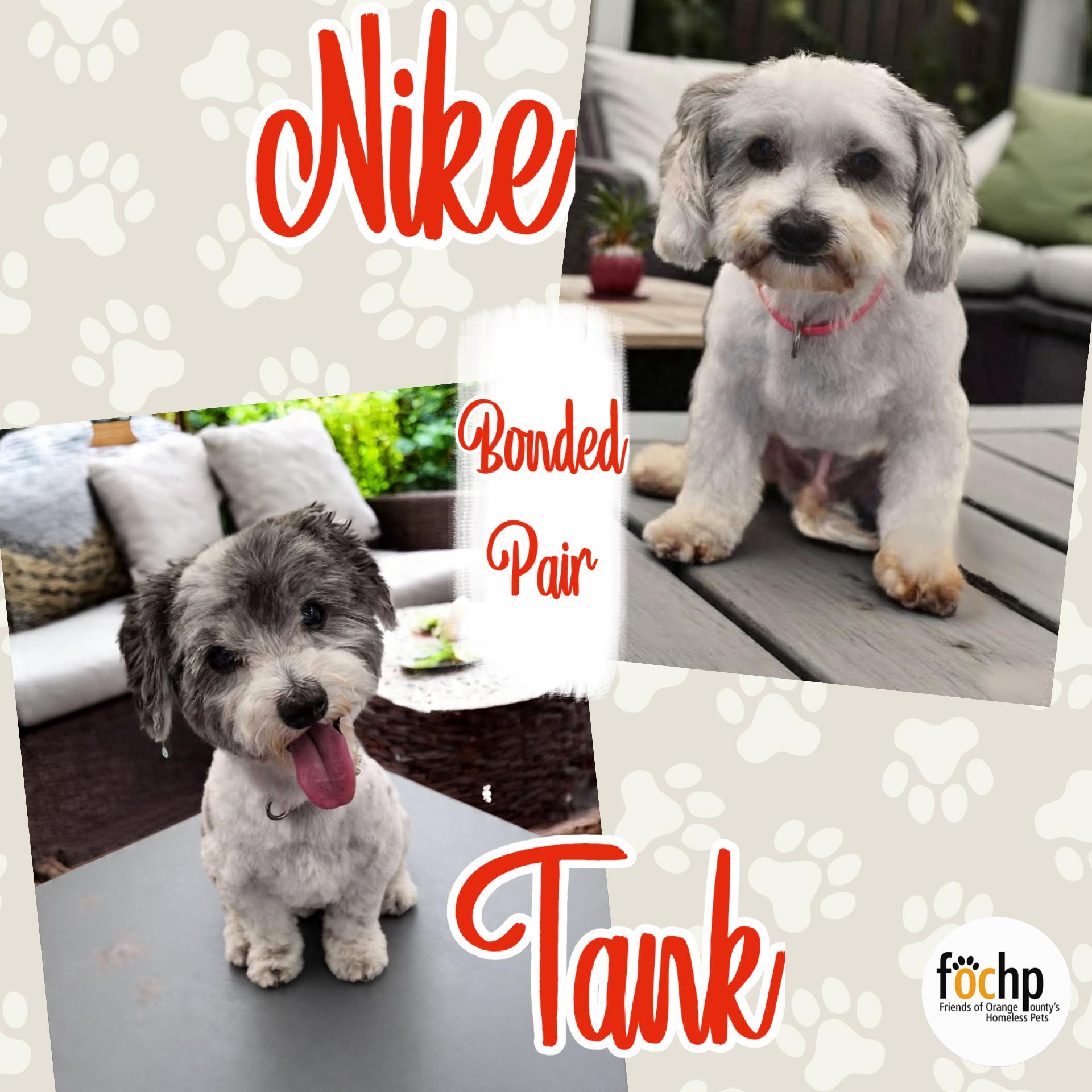 Tank and Nike