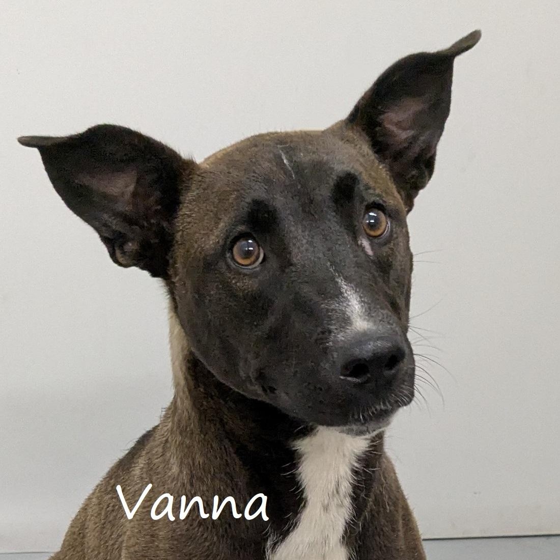 Vanna, Young Female unknown