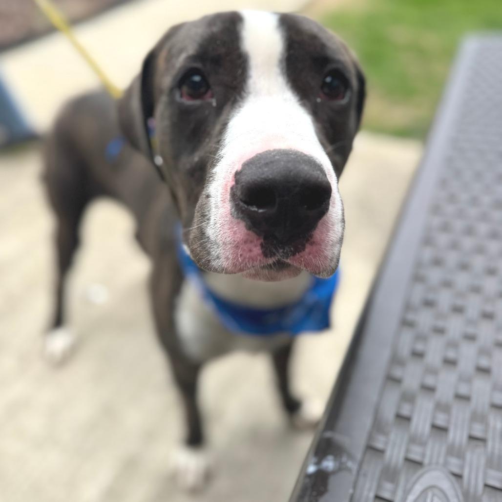 Folk — thumbnail 2