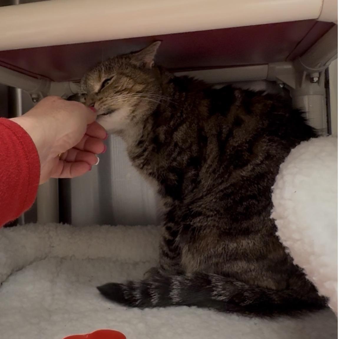 Danielle thumbnail 3