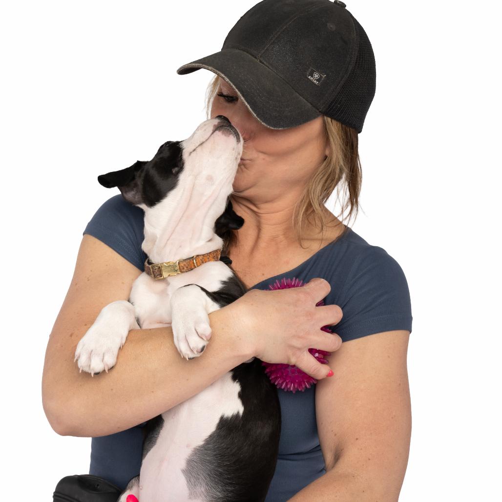 Enlarge Brie, a Adoptable mixed breed in Spanish Fork, UT image 6/6