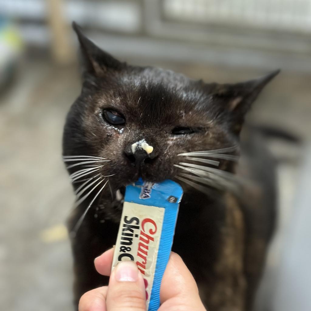 Baby — thumbnail 5