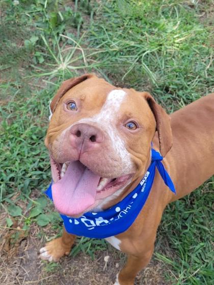 Grace — thumbnail 3