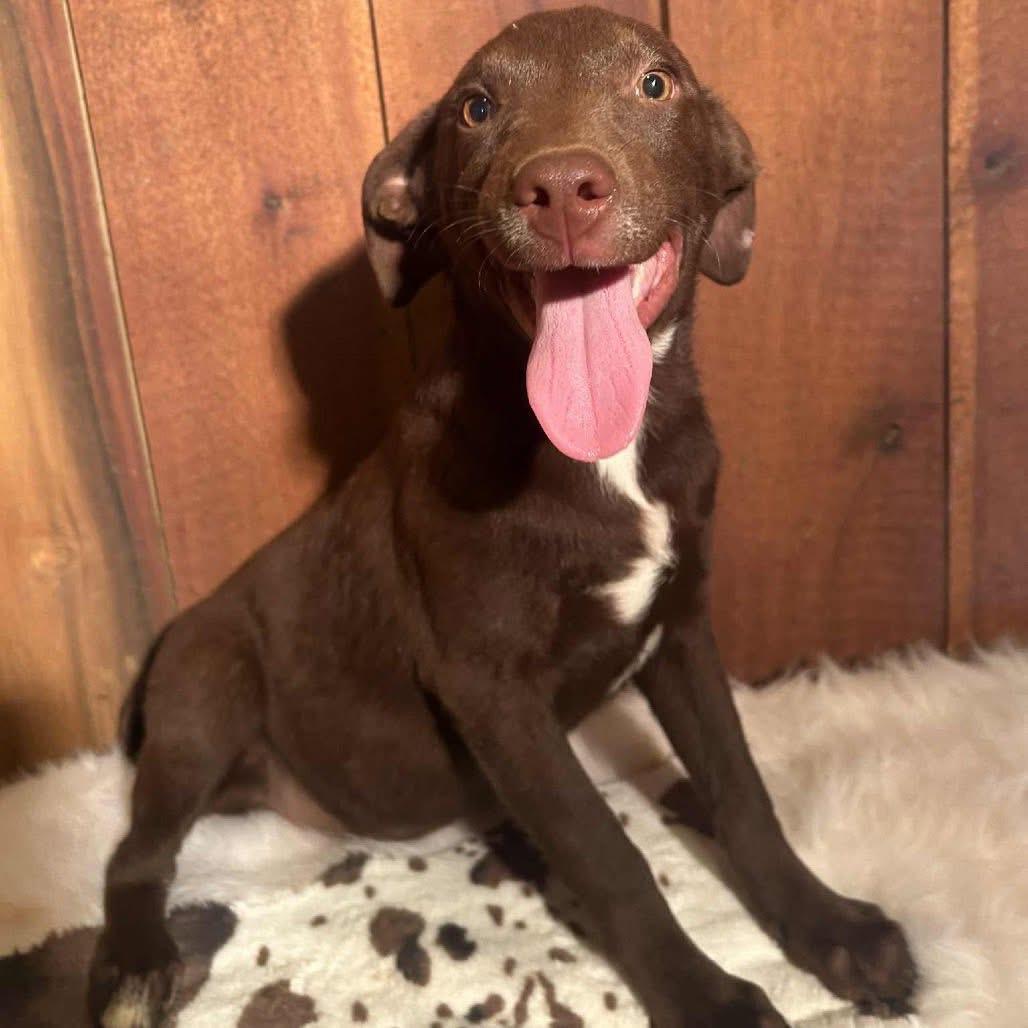 Foster DANNY!