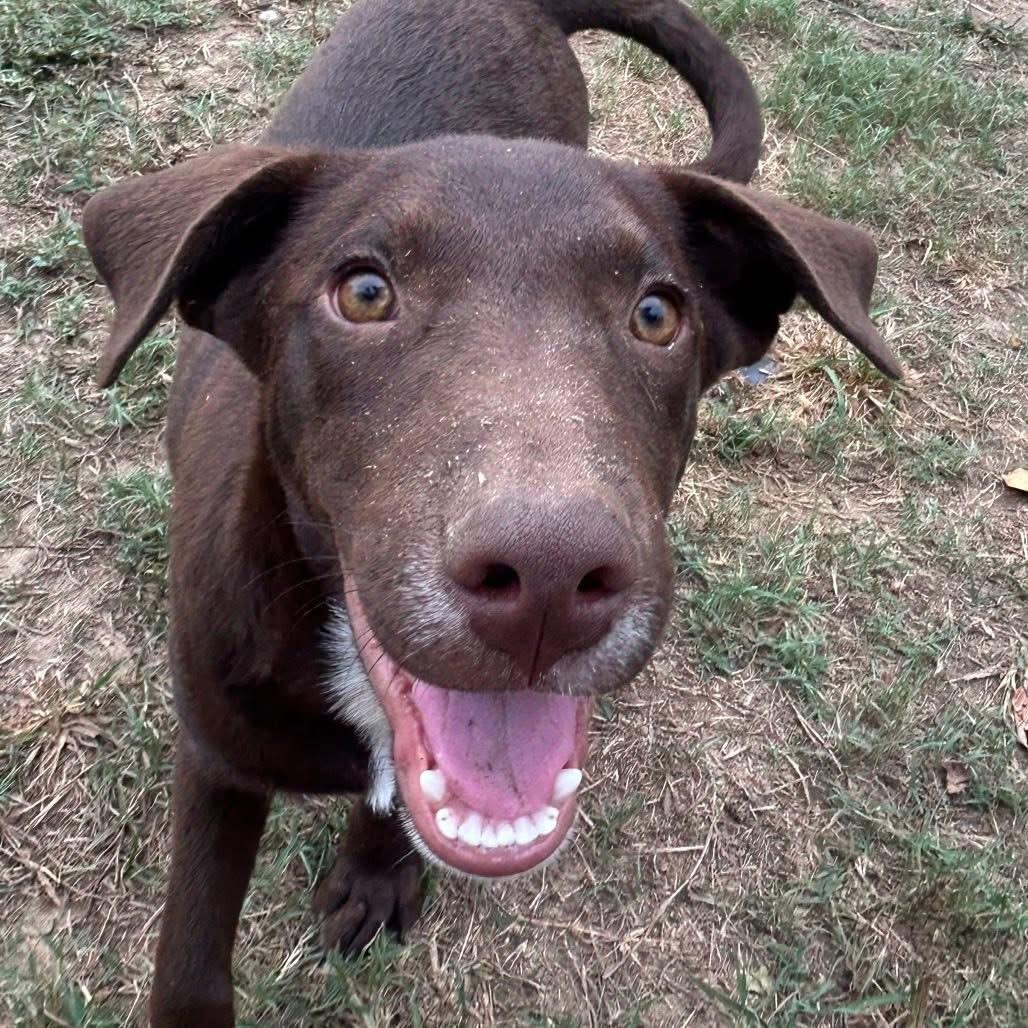 Foster DANNY!