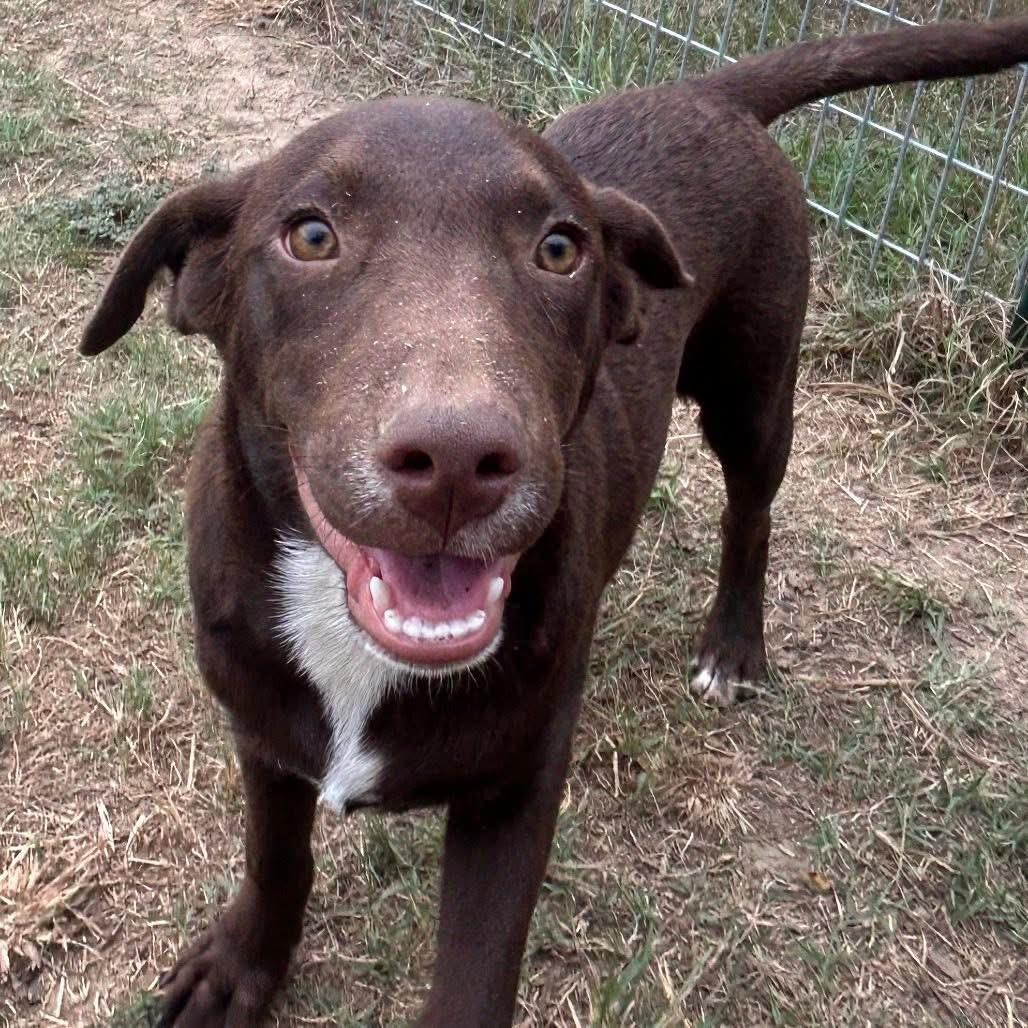 Foster DANNY!