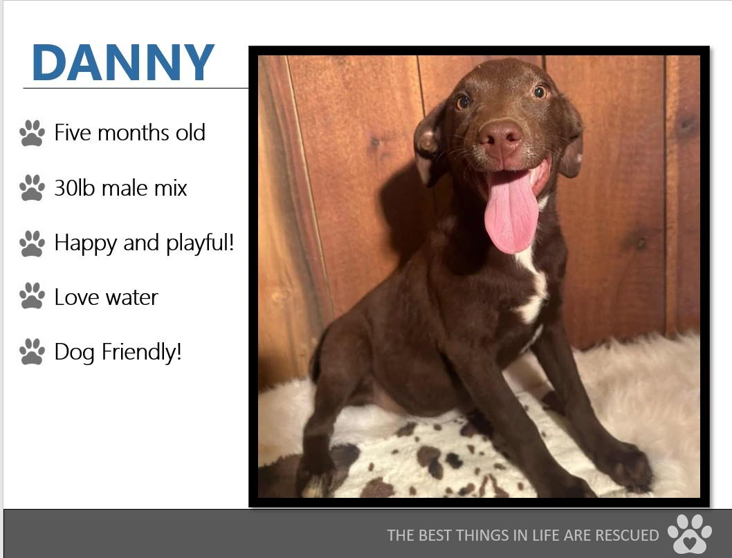 Foster DANNY!