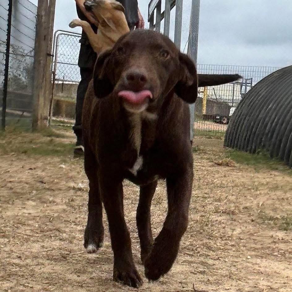 Foster DANNY!