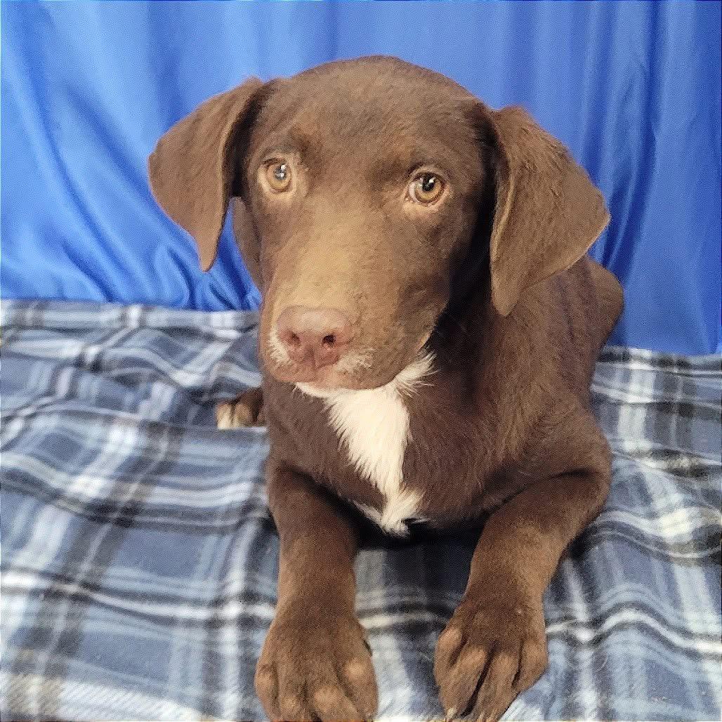 Foster DANNY!